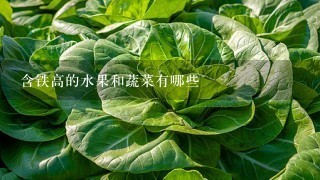 含铁高的水果和蔬菜有哪些