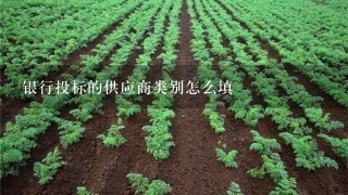 银行投标的供应商类别怎么填