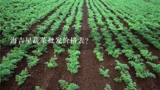 海吉星蔬菜批发价格表？