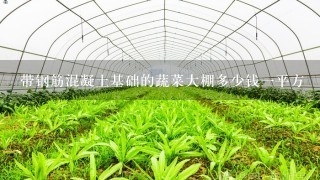 带钢筋混凝土基础的蔬菜大棚多少钱1平方