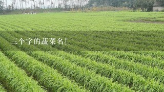 3个字的蔬菜名！