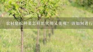 农村庭院种菜怎样能实用又美观？该如何进行规划？