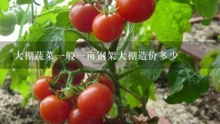 大棚蔬菜1般1亩钢架大棚造价多少