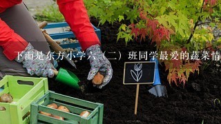 下面是东方小学6（2）班同学最爱的蔬菜情况统计表：种类青菜土豆黄瓜辣椒胡萝卜人数6201543（1）根据上表完成下面的统计图，想1想，画哪种统计图最合适？（2）最爱吃黄瓜的同学比最爱吃土豆的同学少______%．