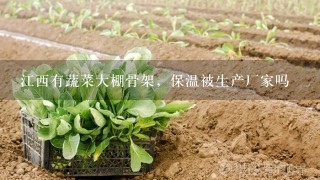 江西有蔬菜大棚骨架，保温被生产厂家吗