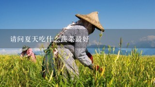 请问夏天吃什么蔬菜最好