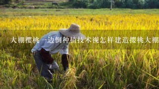 大棚樱桃1边倒种植技术视怎样建造撄桃大棚?