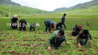 100种昆虫怎么画