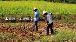 水果超市加盟哪家好