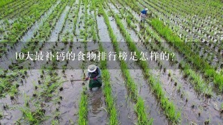 10大最补钙的食物排行榜是怎样的？