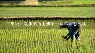 3年级湘教版英语上册第十课单词怎么读