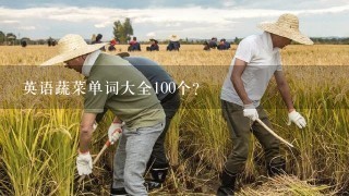 英语蔬菜单词大全100个？