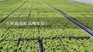 生鲜蔬菜配送哪家好?