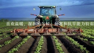 喜欢温暖、湿润的气候，耐寒和抗旱能力较弱，不需要