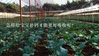 怎样给宝宝补钙才能更好吸收呢？