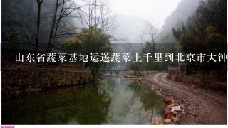 山东省蔬菜基地运送蔬菜上千里到北京市大钟寺批发市场自行销售,这种渠道类