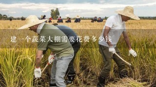 建1个蔬菜大棚需要花费多少钱