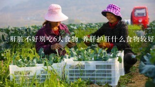 肝脏不好别吃6大食物 养肝护肝什么食物较好