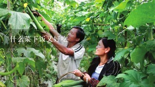 什么菜下饭又好吃