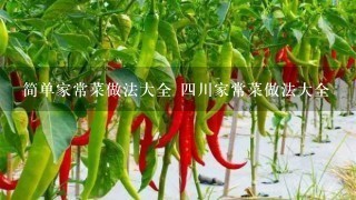 简单家常菜做法大全 4川家常菜做法大全