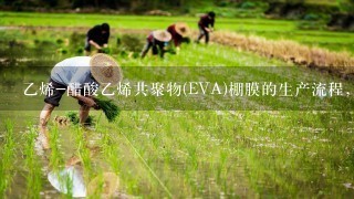 乙烯-醋酸乙烯共聚物(EVA)棚膜的生产流程，