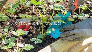 冬天吃什么蔬菜好？对皮肤好？