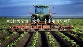 10元快餐菜谱1大荤1个半荤两个素菜