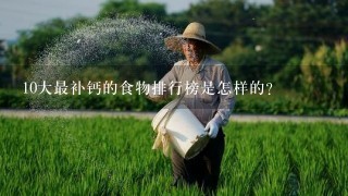 10大最补钙的食物排行榜是怎样的？