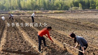 冬季养生粥食谱大全