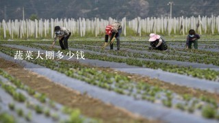 蔬菜大棚多少钱