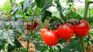 蔬菜配送合同？？？