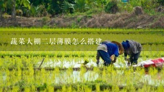 蔬菜大棚2层薄膜怎么搭建