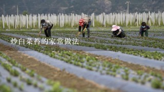 炒白菜苔的家常做法