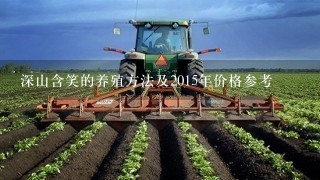 深山含笑的养殖方法及2015年价格参考