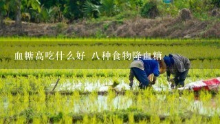 血糖高吃什么好 8种食物降血糖