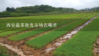 西安蔬菜批发市场在哪里