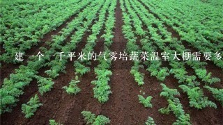 建1个1千平米的气雾培蔬菜温室大棚需要多少钱，包括气雾培设备？