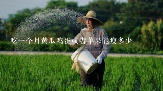 吃1个月黄瓜鸡蛋或者苹果能瘦多少