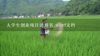 大学生创业项目计划书.word文档