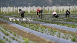 1楼安装雨棚规定