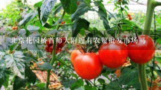 北京花园桥首师大附近有农贸批发市场吗