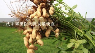 沈阳哪里医药批发最便宜