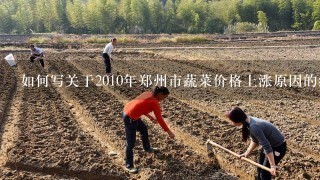 如何写关于2010年郑州市蔬菜价格上涨原因的经济学论文