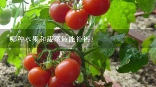 哪种水果和蔬菜最能补钙？