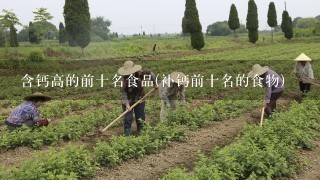 含钙高的前十名食品(补钙前十名的食物)