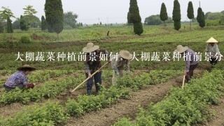 大棚蔬菜种植前景如何，大棚蔬菜种植前景分析