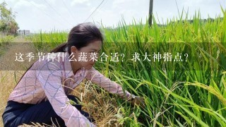 这季节种什么蔬菜合适？求大神指点？