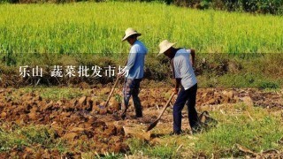 乐山 蔬菜批发市场