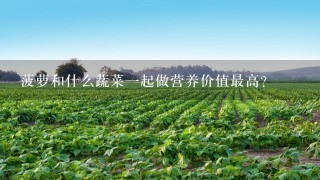 菠萝和什么蔬菜1起做营养价值最高？