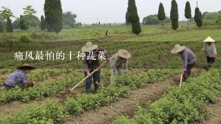 痛风最怕的十种蔬菜